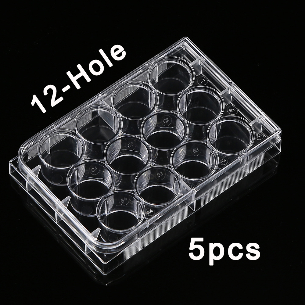 5Pcs Polystyrene 12 Well Petri - Medical Lab Supplies review and price