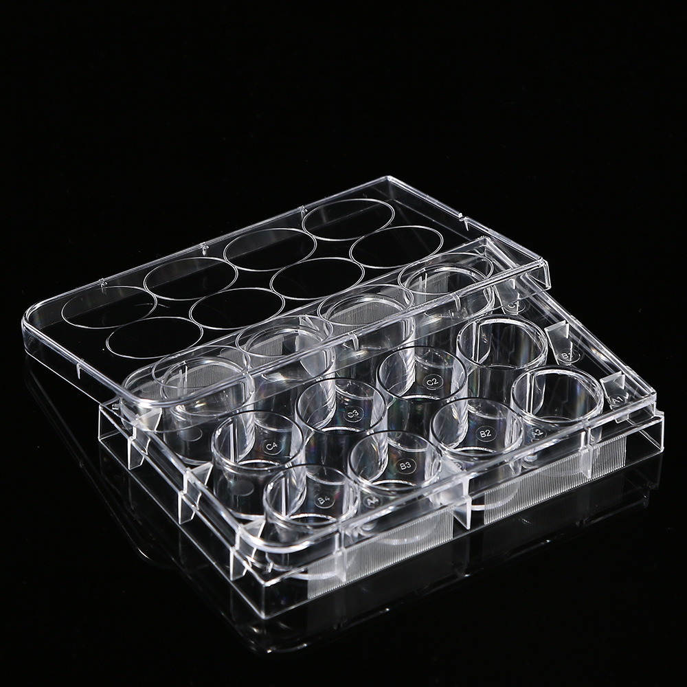 5Pcs Polystyrene 12 Well Petri - Medical Lab Supplies review and price