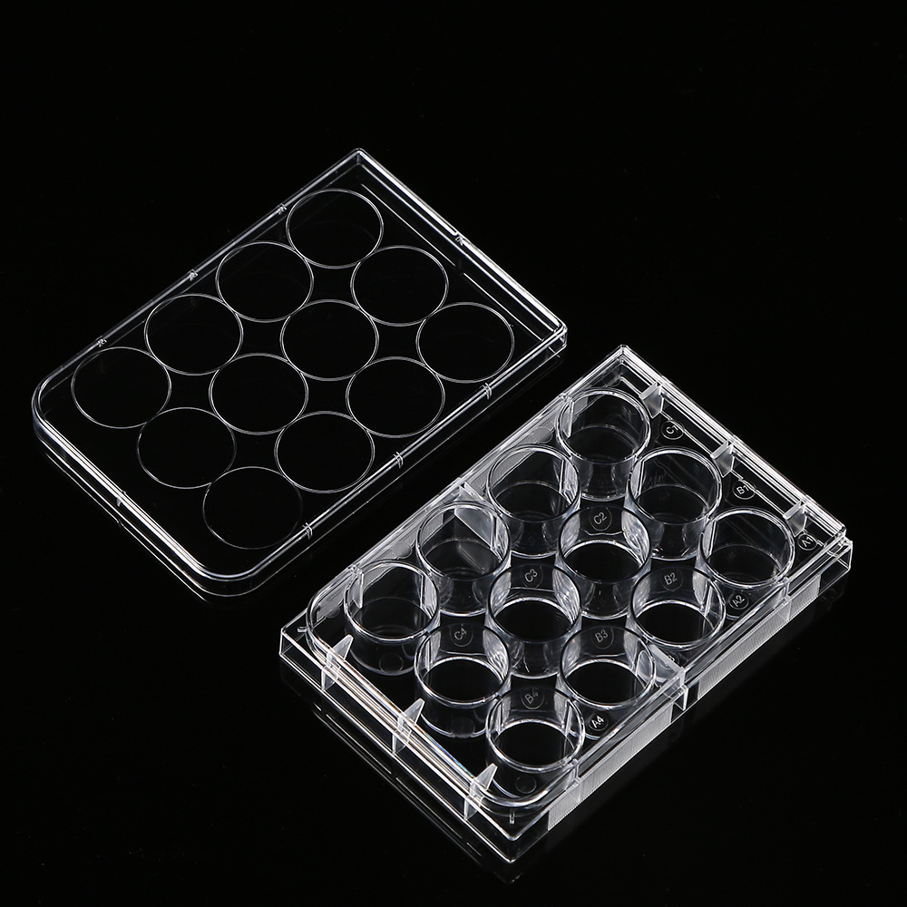 5Pcs Polystyrene 12 Well Petri - Medical Lab Supplies review and price